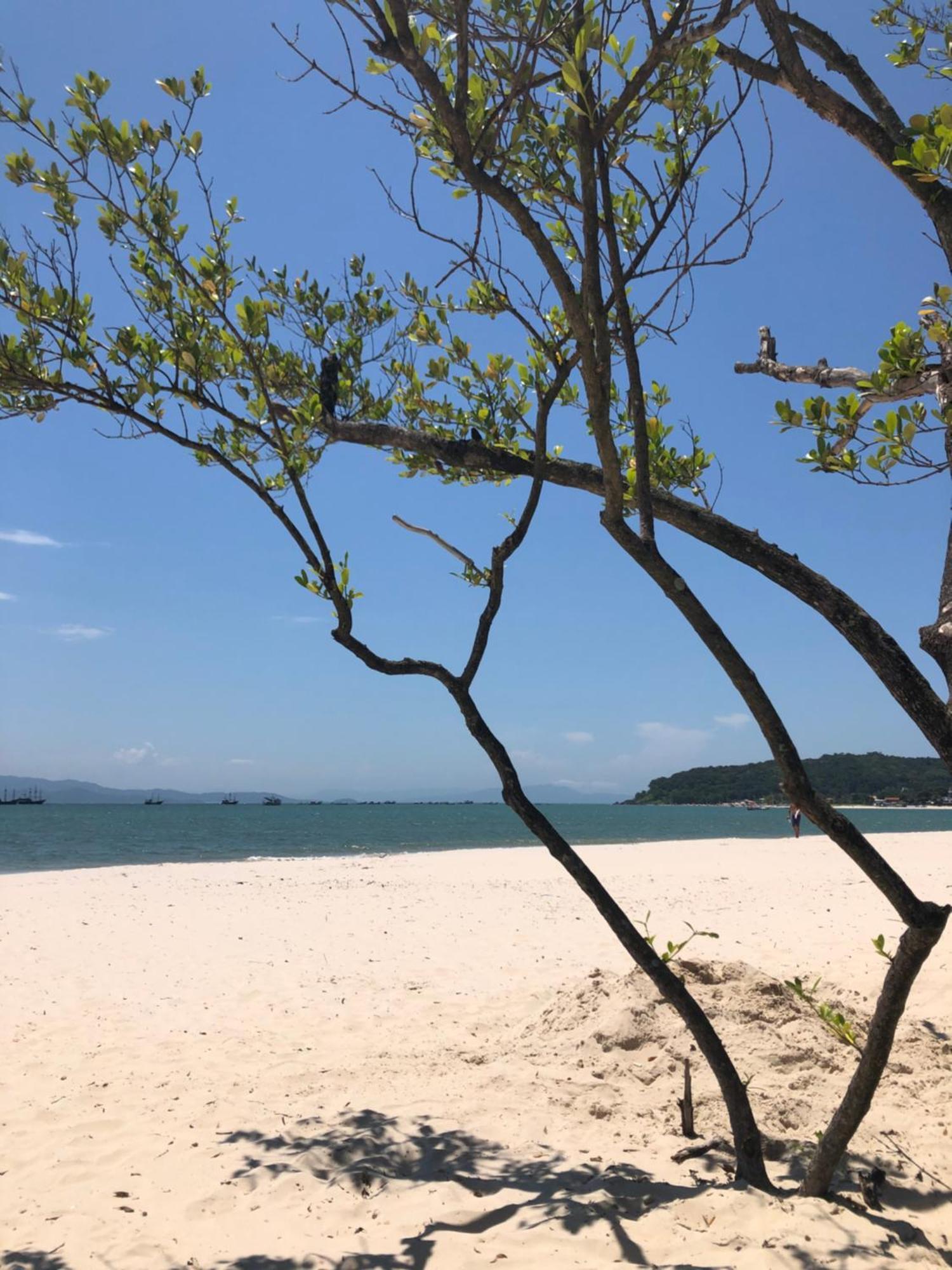 Ap Amplo Com Vista Para Mar Com 3 Suites Florianópolis Extérieur photo